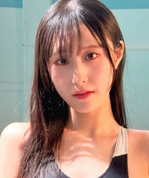 山口的风自然纪录片免费观看